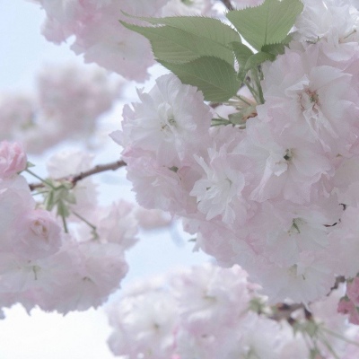 西固FurryQQ群介绍